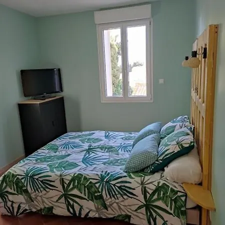 Du Mas Donat 招待所 佩皮尼昂