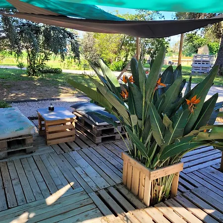 Du Mas Donat 招待所 佩皮尼昂