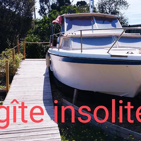 Du Mas Donat 招待所 佩皮尼昂